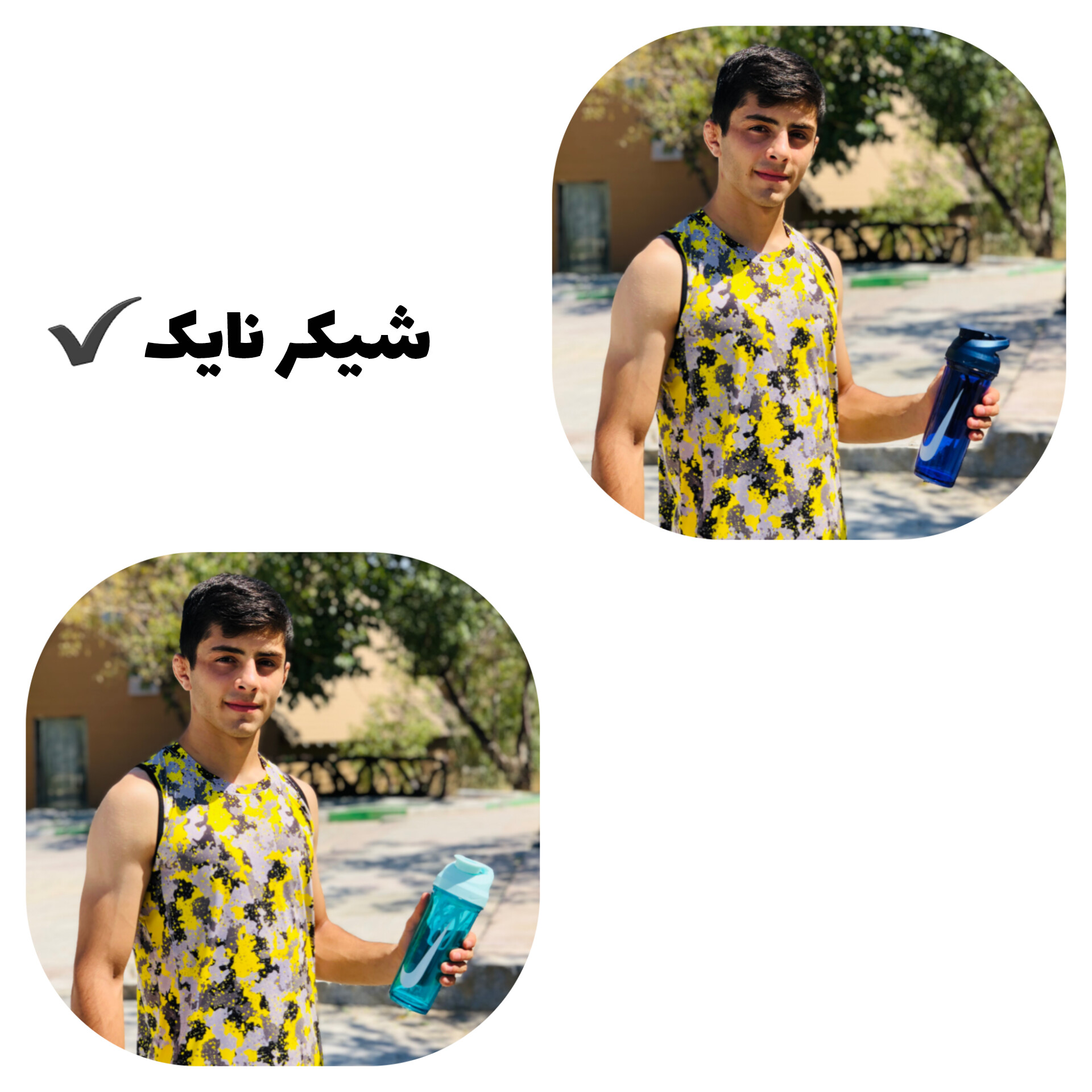 شیکر نایک